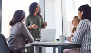 System-Integrator-Partners